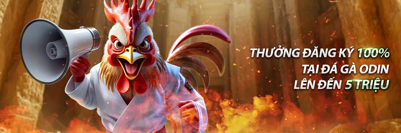 Hình ảnh đại diện chính sách bảo mật 3wim đăng nhập